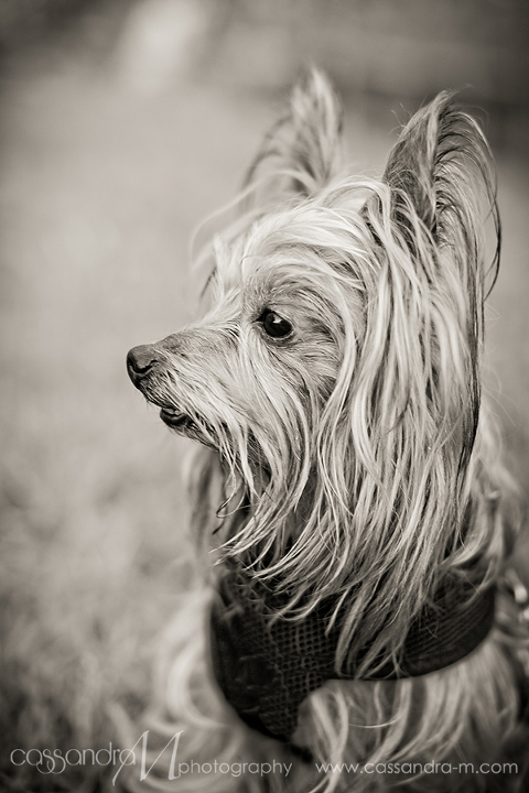 SavannahPhotographer_cassandra-m_mocha10bday_0001