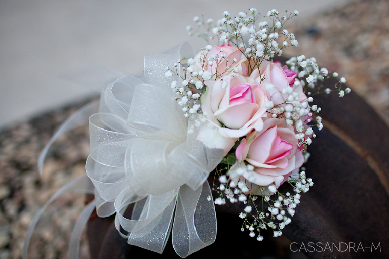 Cassandra-MPhotography_Wedding_PURVIS_IMG_026