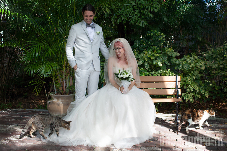Key West Wedding Photographer_Hemingway House_Erin+Joshua_IMG_0029
