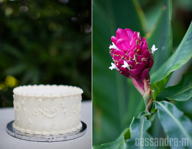 Key-West-Wedding-Photographer_Hemingway-Home_Wedding_AshleyDavid_IMG_0007