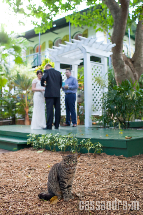 key-west-wedding-photographer-hemingway-home-wedding-kaylamichael-img_0030