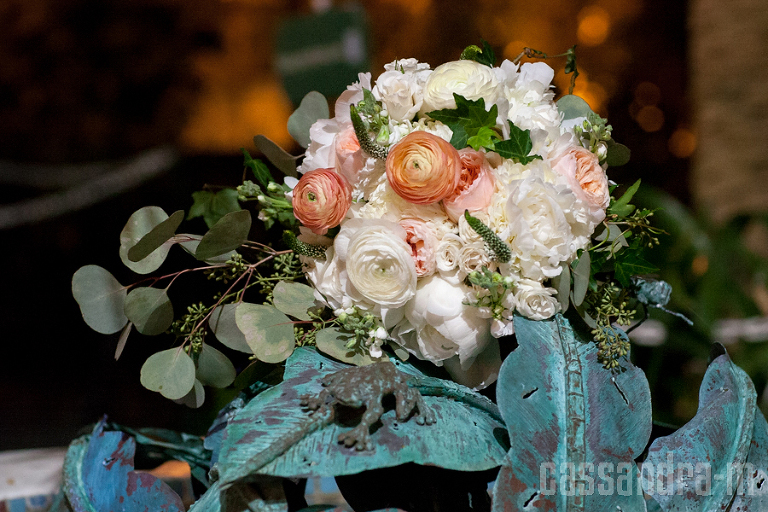 key-west-wedding-photographer-hemingway-home-danielle-adam-img_0062