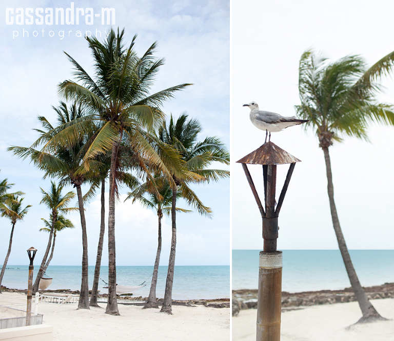 Key-West-Wedding-Photographer-Casa-Marina-First-Look-Lauren-Ryan-IMG_0029