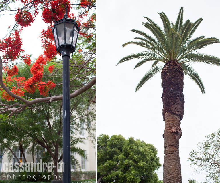 Key-West-Wedding-Photographer-Casa-Marina-First-Look-Lauren-Ryan-IMG_0036