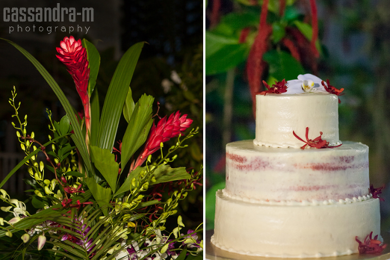 Key-West-Wedding-Photographer-The-Audubon-House-Reception-Lauren-Ryan-IMG_0070