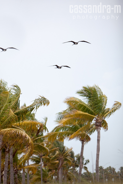Key-West-Wedding-Photographer-Smathers-Beach-Wedding-Lauran-Ben-IMG_0013