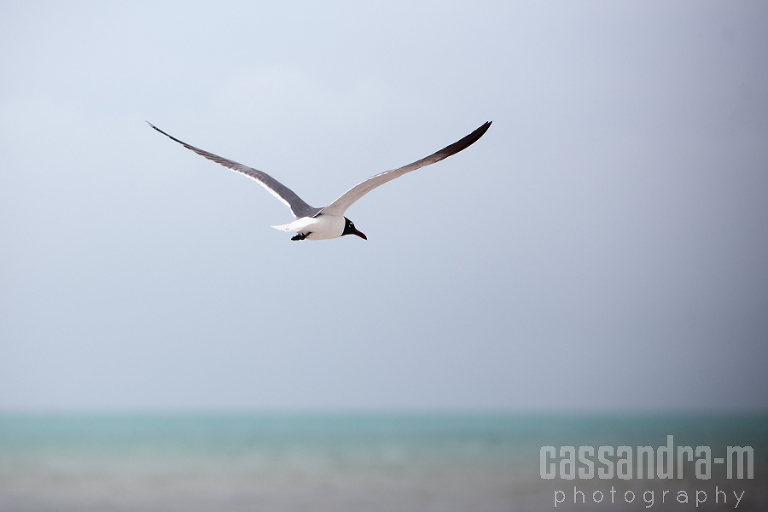 Key-West-Wedding-Photographer-Smathers-Beach-Wedding-Lauran-Ben-IMG_0016
