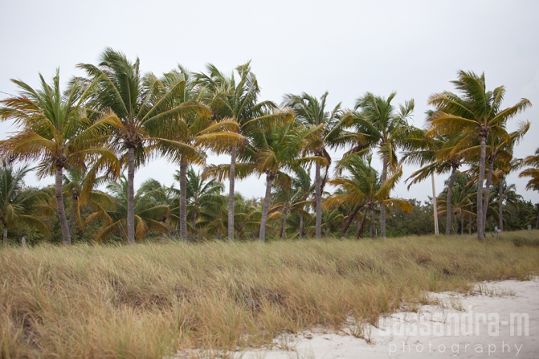 Key-West-Wedding-Photographer-Smathers-Beach-Wedding-Lauran-Ben-IMG_0021