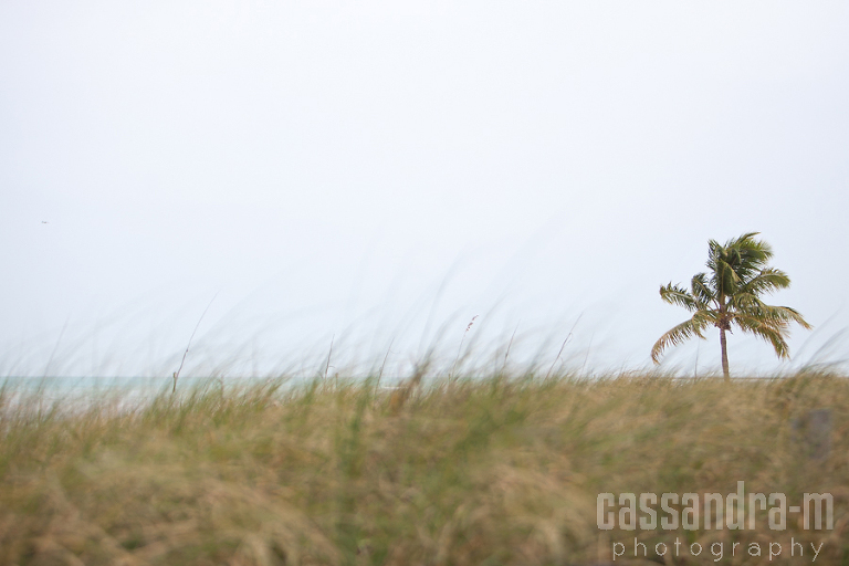 Key-West-Wedding-Photographer-Smathers-Beach-Wedding-Lauran-Ben-IMG_0063