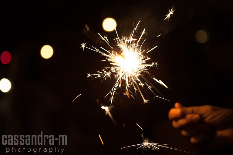 Key-West-Wedding-Photographer-Hemingway-Home-Wedding-Ft-Zachary-Bride-Groom-BD-IMG_0065